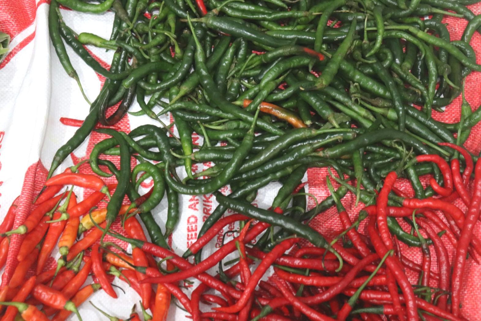 Professional kitchen workspace showing cooking stations prepared for training session
